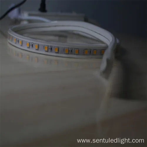 CE RoHS Approval SMD5050 CRI80 LED Light Strip